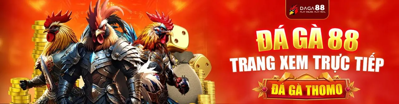 Sân đá gà trực tuyến sôi động tại ht368